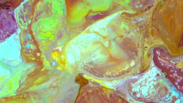 Abstract Colorful Fluid Paint Background 13 / Videohive