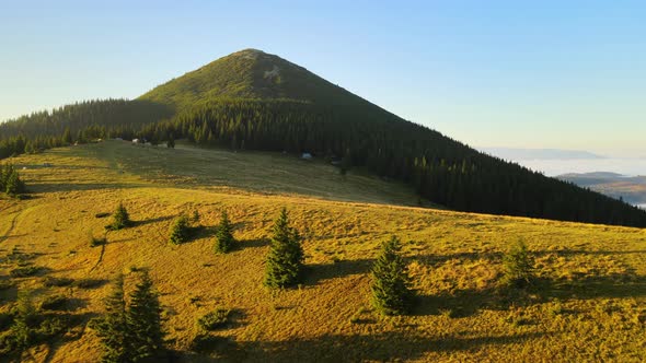 Aerial View of Bright Foggy Morning Over Dark Peak with Mountain Forest Trees at Autumn Sunrise