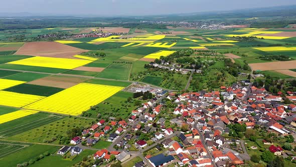 Agricultural fields at Lich / Munzenberg district, Hesse, Germany