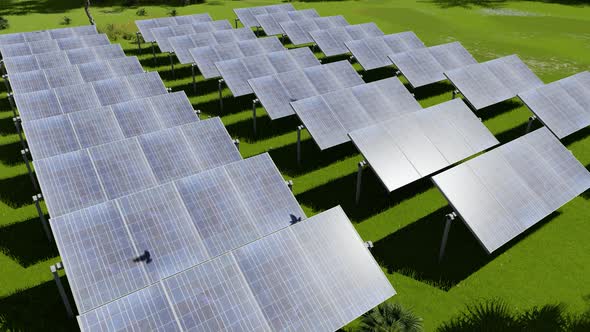 Big Farm Solar Panel on Grass