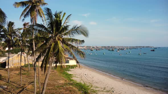 Revealing a whale temple in Vietnam, a fishing harbour in the background with hundreds of boats