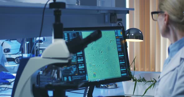 Scientist Examining Bacteria with Microscope