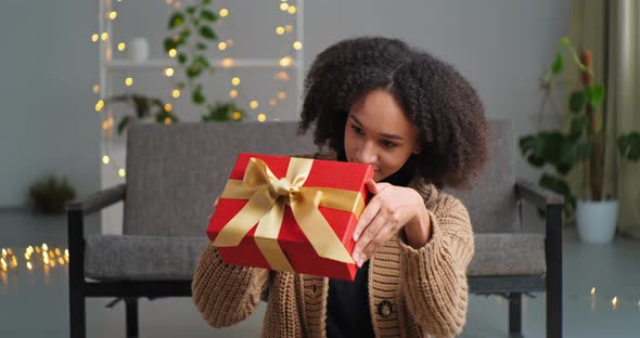 Attractive Stylish African American Girl with Afro Curly Woman Cool Hairstyle Laughing Sitting at