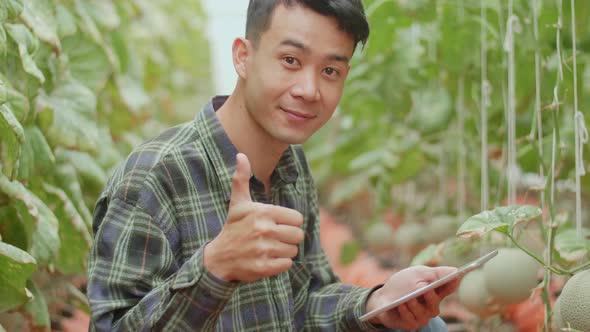 Smiling Asian Farmer Use Tablet And Thumb Up In Organic Farms. Agriculture Or Cultivation Concept