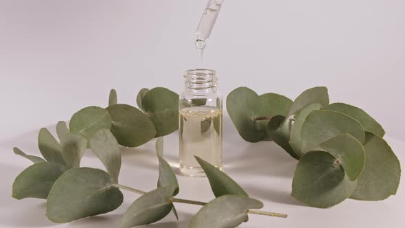 Eucalyptus Oil with Leaves on a White Background