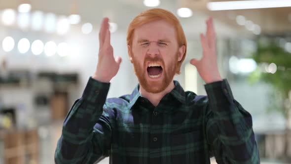 Portrait of Disappointed Beard Redhead Man Screaming Shouting