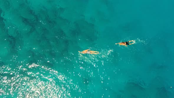 Male and Female Professional Swimmers Swimming in the Clear Blue Sea