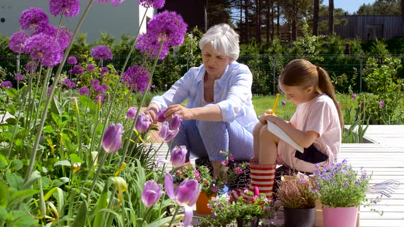 Grandmother and Girl Study Flowers at Garden