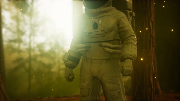 Lonely Astronaut in Dark Forest