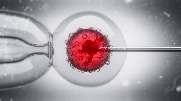 DNA Filled Liquid Being Injected Into An Egg Cell Nucleus