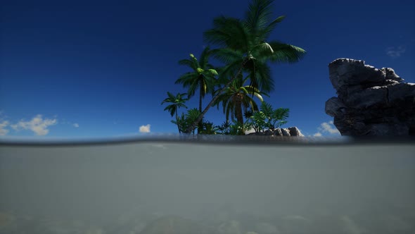 Brown Muddy Water and Palms on Island alt