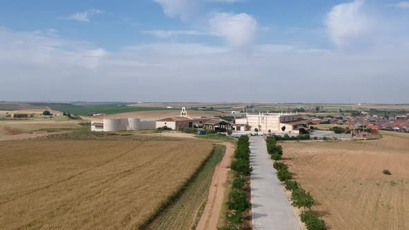 Bodega Gótica is a family business that has been producing grapes for several generations in the mun