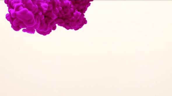 Lilac Ink in Water. Creative Slow Motion. On a White Background