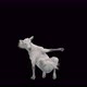 47 White Horse Dancing 4K - VideoHive Item for Sale