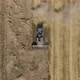 Top down view of combine harvester working the field - VideoHive Item for Sale