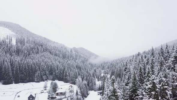 Flight Over Forest and a Village in a Mountain Valley in Winter