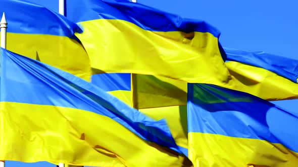 Stacked Ukrainian Flags Flutter on Wind Over Blue Sky alt