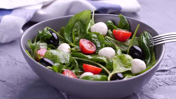 Vegetarian And, Organic Food Concept. Cherry Tomato and Mozzarella Falling Down in Fresh Salad