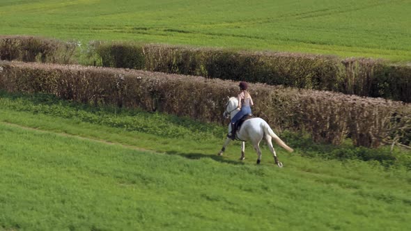 Horse Rider in the Countryside Cantering