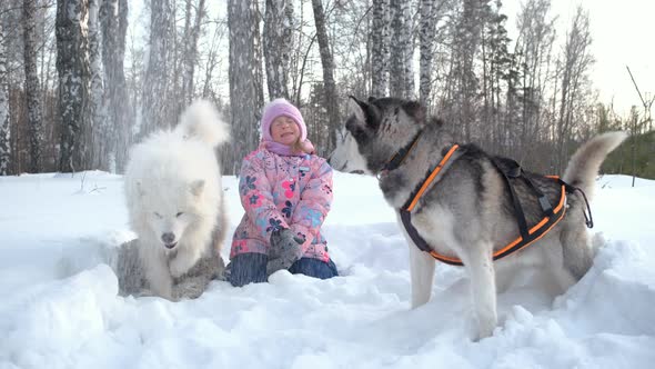 Little Girl Playing with Sledge Dogs on Snow