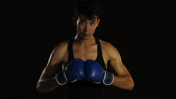 Asian Boxer Ready To Fight