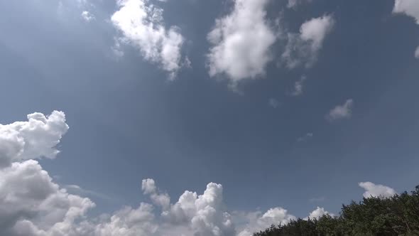 Clouds Fly Over The Forest timelapse