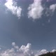 Clouds Fly Over The Forest timelapse - VideoHive Item for Sale