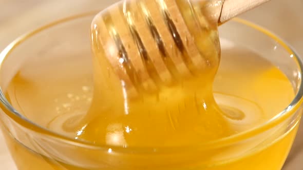 Using Spoon for Honey in Bowl, Pick It Up, Close Up, Slow Motion