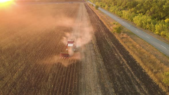 Aerial View Combine Harvesting on Sunflower Field