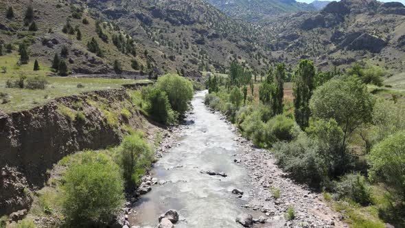 river among trees drone