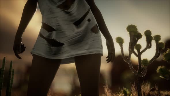 Woman in Torn Shirt Standing By Cactus in Desert at Sunset