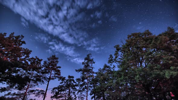 Charming night sky, Czech republic , time lapse