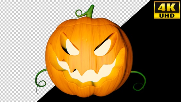 Helloween Pumpkin Video Loops Pack 002