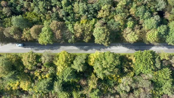 Street leading through a forest with a driving car, slowly zoomed in. Aerial shot in 4K