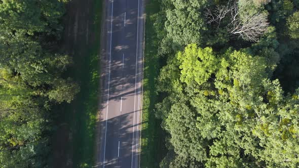 Flying along the road between threes with driving vehicles