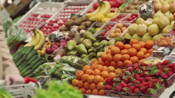 Fresh Fruits and Vegetables in the Market