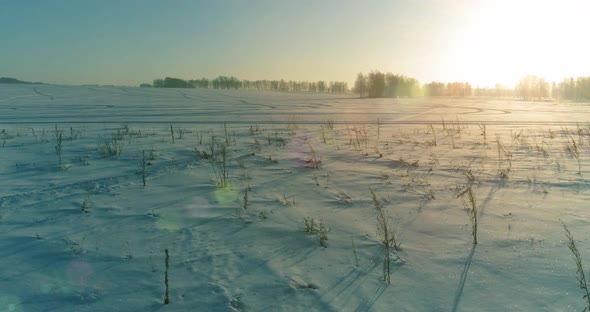 Aerial Drone View of Cold Winter Landscape with Arctic Field Trees Covered with Frost Snow and