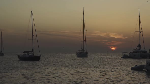 Many Yachts in a Bay on Formentera Island