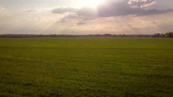 Moving forward over agricultural field and rising camera up to dramatic clouds