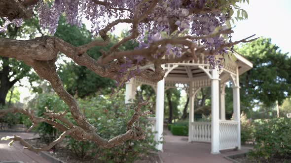 Beautiful park and wooden gazebo