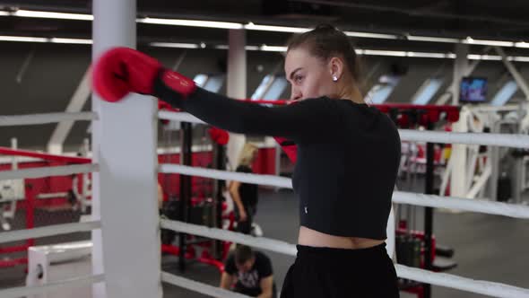Young Pretty Woman Training Her Boxing on the Ring in the Gym