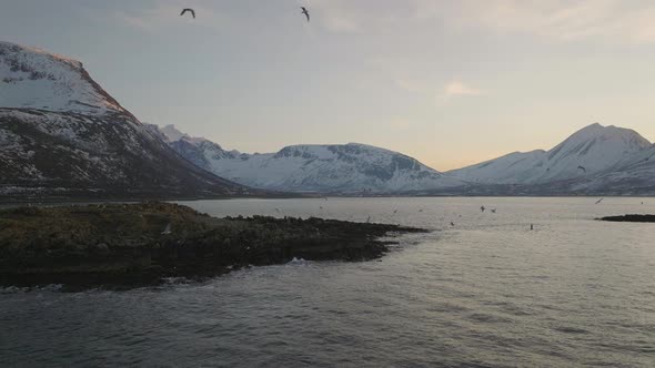 Rugged arctic islands, seabirds flying around with snowy mountains