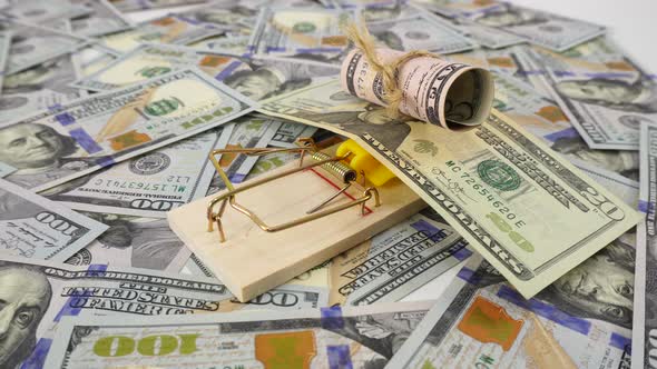 Dollar bill as a bait in a mousetrap