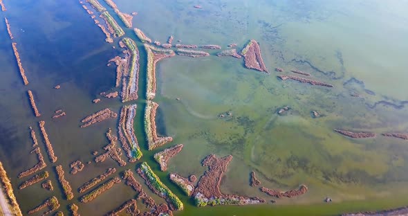 Local Recreational Landscape with Ground Plots Among Lagoons