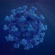 Representation of Corona Virus SARS-CoV-2 - VideoHive Item for Sale
