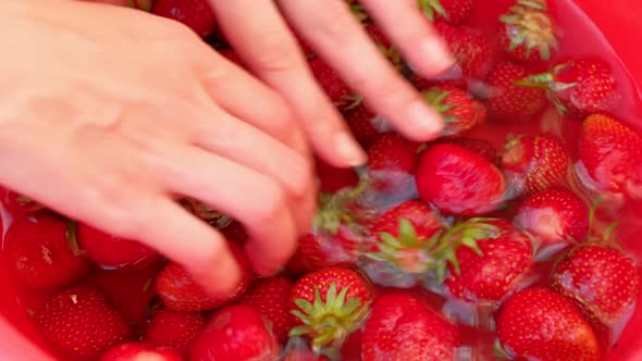 Washing Strawberries While Holding It in Hands
