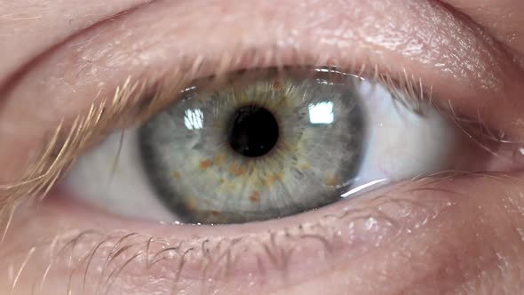 Close Up Beautiful Blue Eye of Woman, Opening and Blinking Human Iris Macro Natural Beauty.