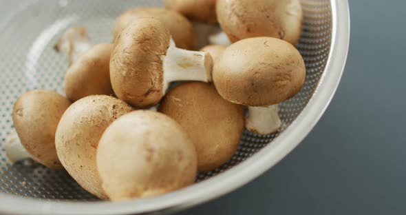 Video of close up of bowl of fresh mushrooms on grey background