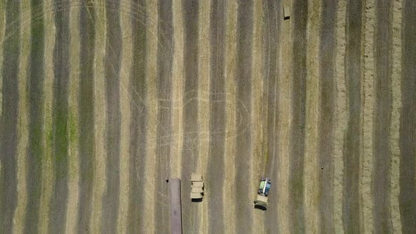 Tractor Collecting Straw Bales