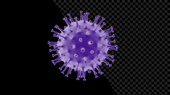 Coronavirus Visualization Covid 19 V17